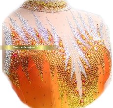 画像4: 社交ダンス モダンドレス 3250タイプ (4)