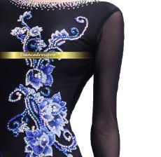 画像4: 社交ダンス モダンドレス 3252タイプ (4)