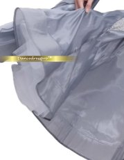 画像8: 社交ダンス モダンドレス 3273タイプ (8)