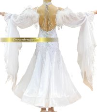 画像2: 社交ダンス モダンドレス 3274タイプ (2)