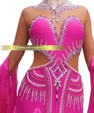 画像7: 社交ダンス モダンドレス 3275タイプ (7)