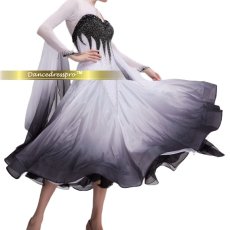 画像3: 社交ダンス モダンドレス 3276タイプ (3)