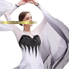 画像4: 社交ダンス モダンドレス 3276タイプ (4)