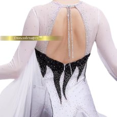 画像5: 社交ダンス モダンドレス 3276タイプ (5)