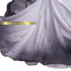 画像6: 社交ダンス モダンドレス 3276タイプ (6)