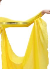 画像4: 社交ダンス モダンドレス 3278タイプ (4)