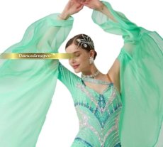 画像6: 社交ダンス モダンドレス 3279タイプ (6)