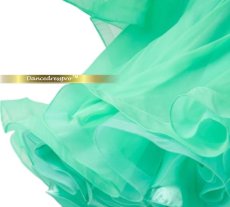 画像7: 社交ダンス モダンドレス 3279タイプ (7)