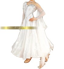 画像3: 社交ダンス モダンドレス 3282タイプ (3)