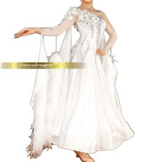 画像4: 社交ダンス モダンドレス 3282タイプ (4)