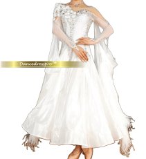 画像5: 社交ダンス モダンドレス 3282タイプ (5)
