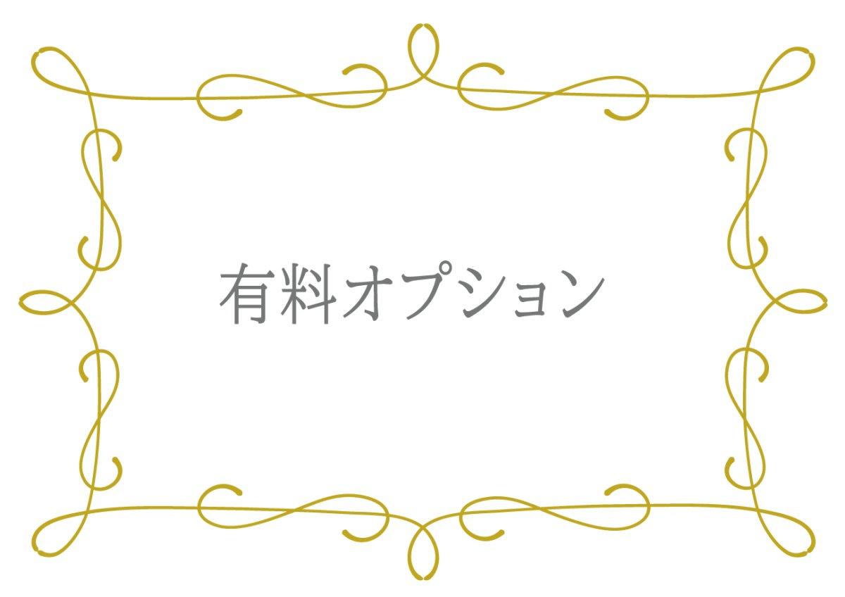 画像1: 有料オプション (1)